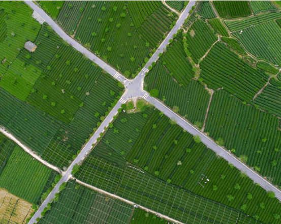 1622167886(1).png